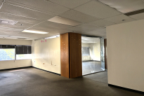 36. Suite 209