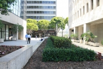 8. Plaza