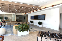 31. Lounge 