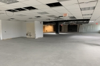 41. Suite 502