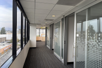 81. Suite 520