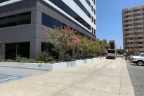 12. Exterior