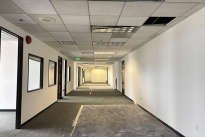81. Suite 1050
