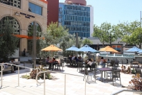 31. Plaza