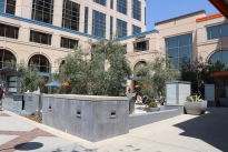 37. Plaza