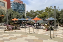 29. Plaza