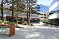 8. Exterior Plaza