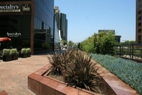 25. Plaza