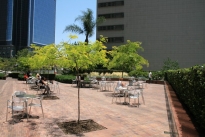 32. Plaza