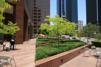 34. Plaza