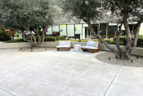 11. Plaza