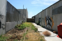 30. Back Exterior