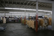 17. Interior