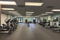61. Gym