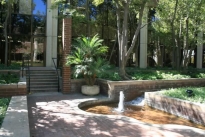 83. Plaza