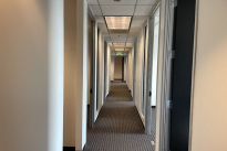 71. Suite 333