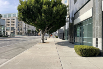 4. Exterior