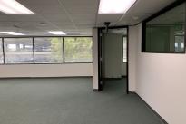 50. Suite 280