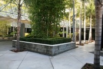 21. Plaza