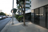 3. Exterior