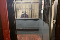 10. Elevator