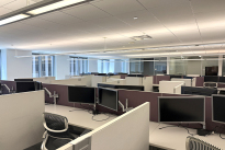 291. Eleventh Floor
