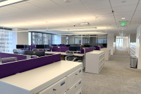 293. Eleventh Floor