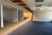 219. Suite 800