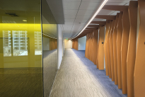 225. Suite 800