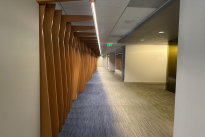 233. Suite 800