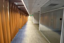 236. Suite 800