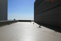 330. Penthouse Roof