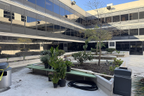 41. 2nd Fl Courtyard