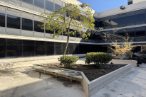 40. 2nd Fl Courtyard