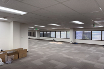 66. Suite 480