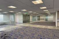 133. Suite 1250