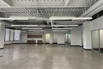 46. Suite 203