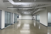 81. Suite 304