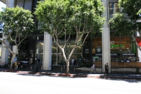 8. Exterior
