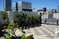 19. Rooftop