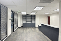 61. Suite 163