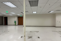 41. Suite 100