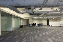 45. Suite 230