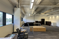 46. Suite 230