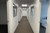 59. Suite 290
