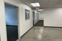 61. Suite 290