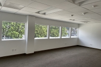 62. Suite 290