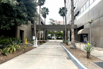 7. Exterior