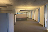 117. Eleventh Floor