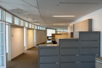 219. Thirty First Floor